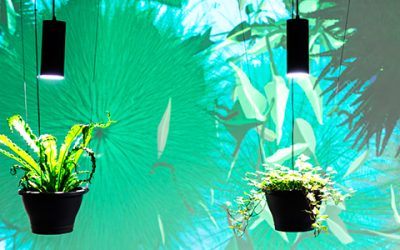 Inauguration iMAL / CASTII