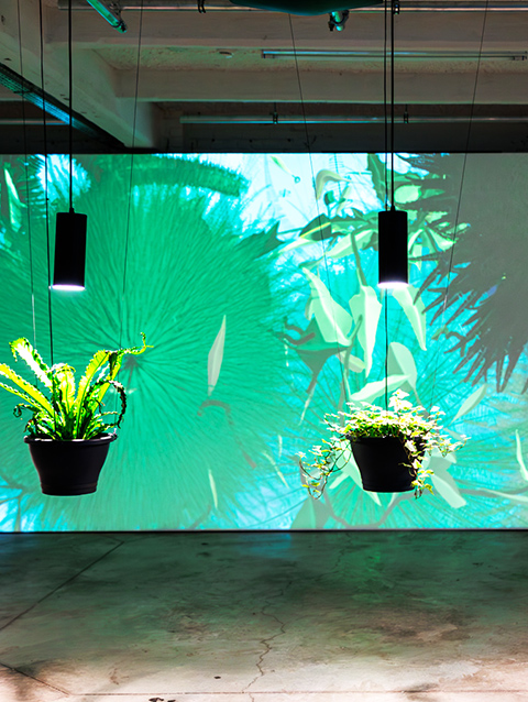 Inauguration iMAL / CASTII 